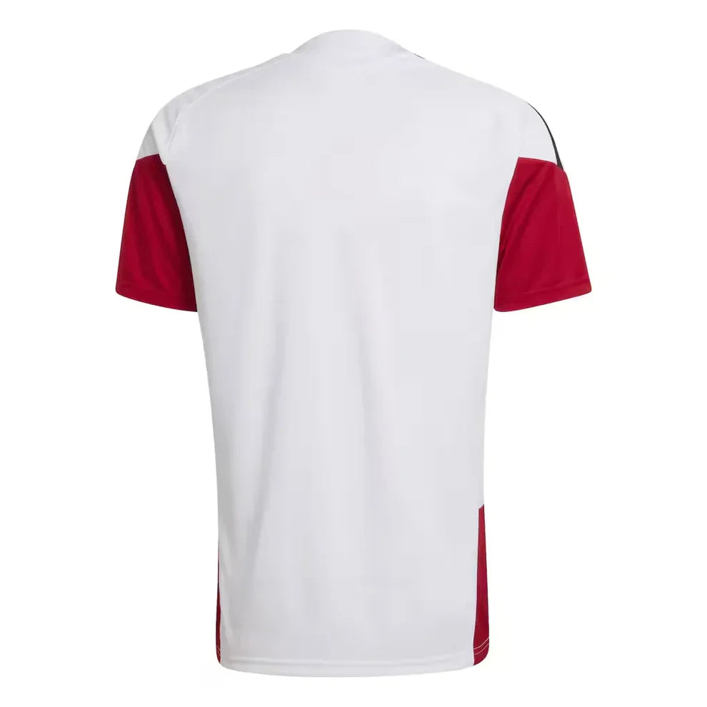 Jersey Germany Training Pro White 2026