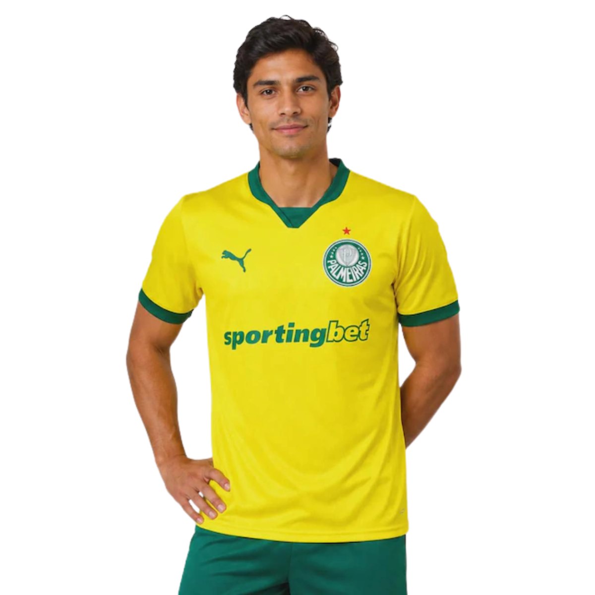 Jersey Palmeiras Third 2025-26