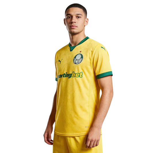 Jersey Palmeiras Third Player 2025-26